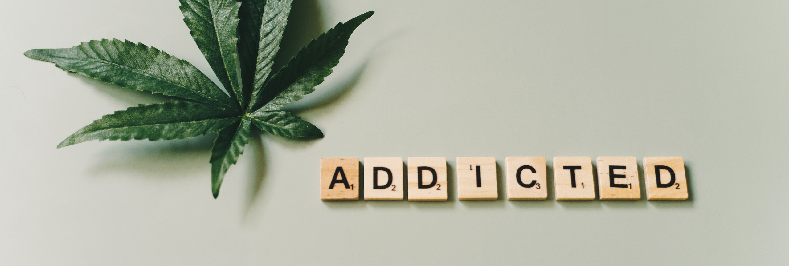 Lire la suite à propos de l’article Addiction au Cannabis